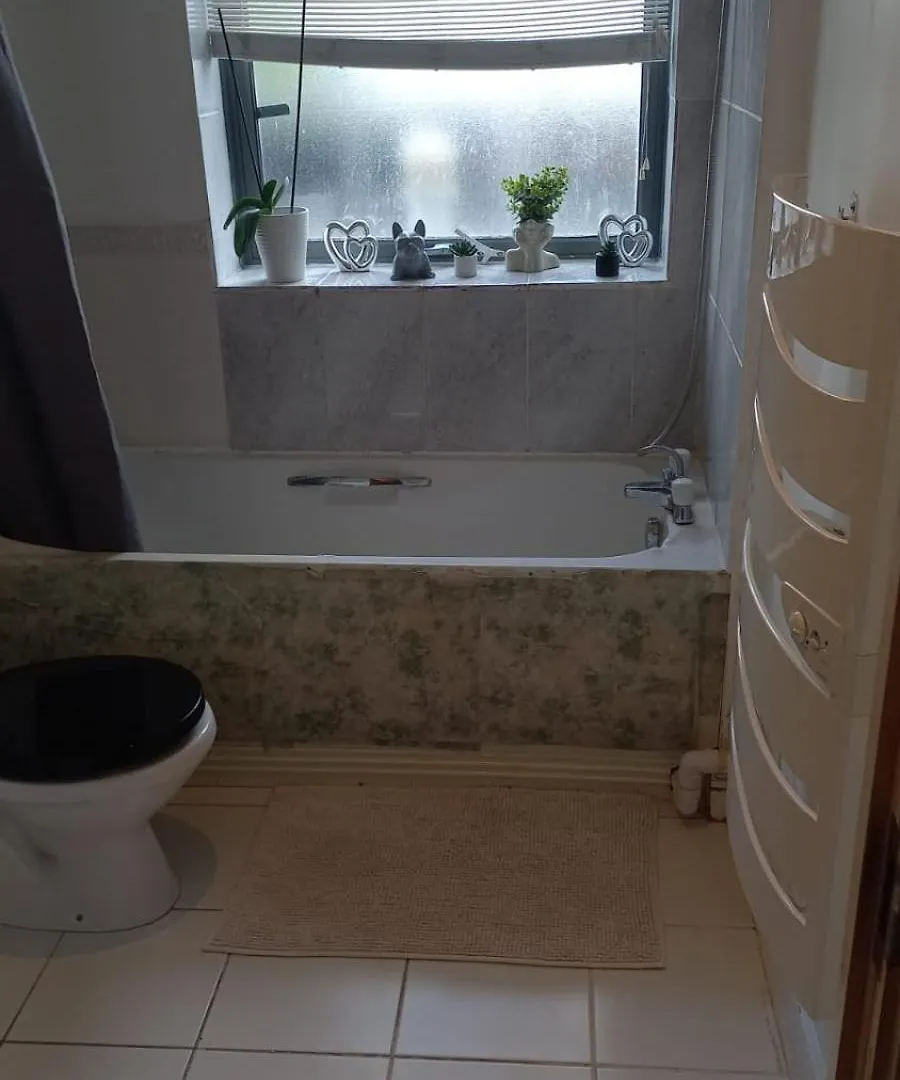 בית אירוח לונדון Comfy Room With Shared Bathroom
